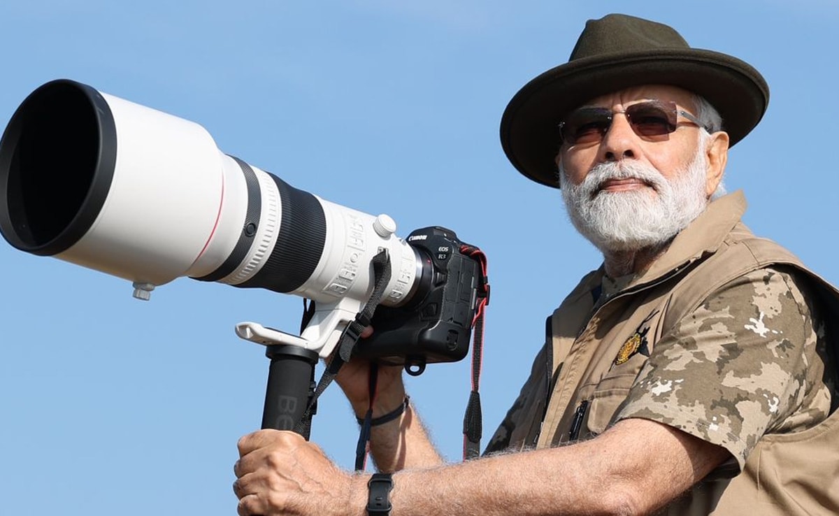 India Does Not Believe In Conflict Between Ecology, Economy: PM Modi