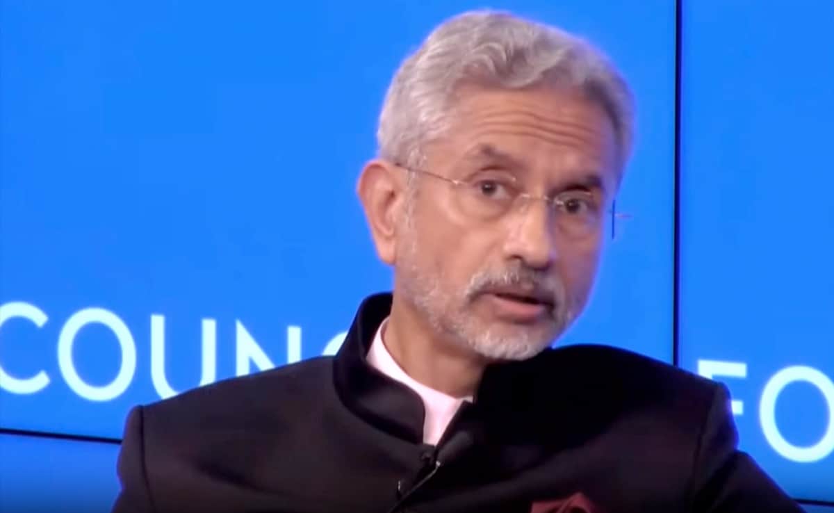 ?Pearls Look Benign??: S Jaishankar On Chinese Activity In Indian Ocean Region