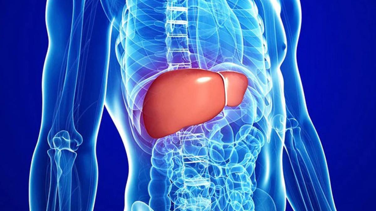 फैटी लिवर की समस्या से पाना चाहते हैं छुटकारा?