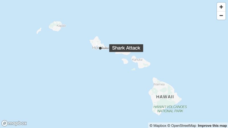 Shark bite leaves surfer in Hawaii in serious condition | CNN