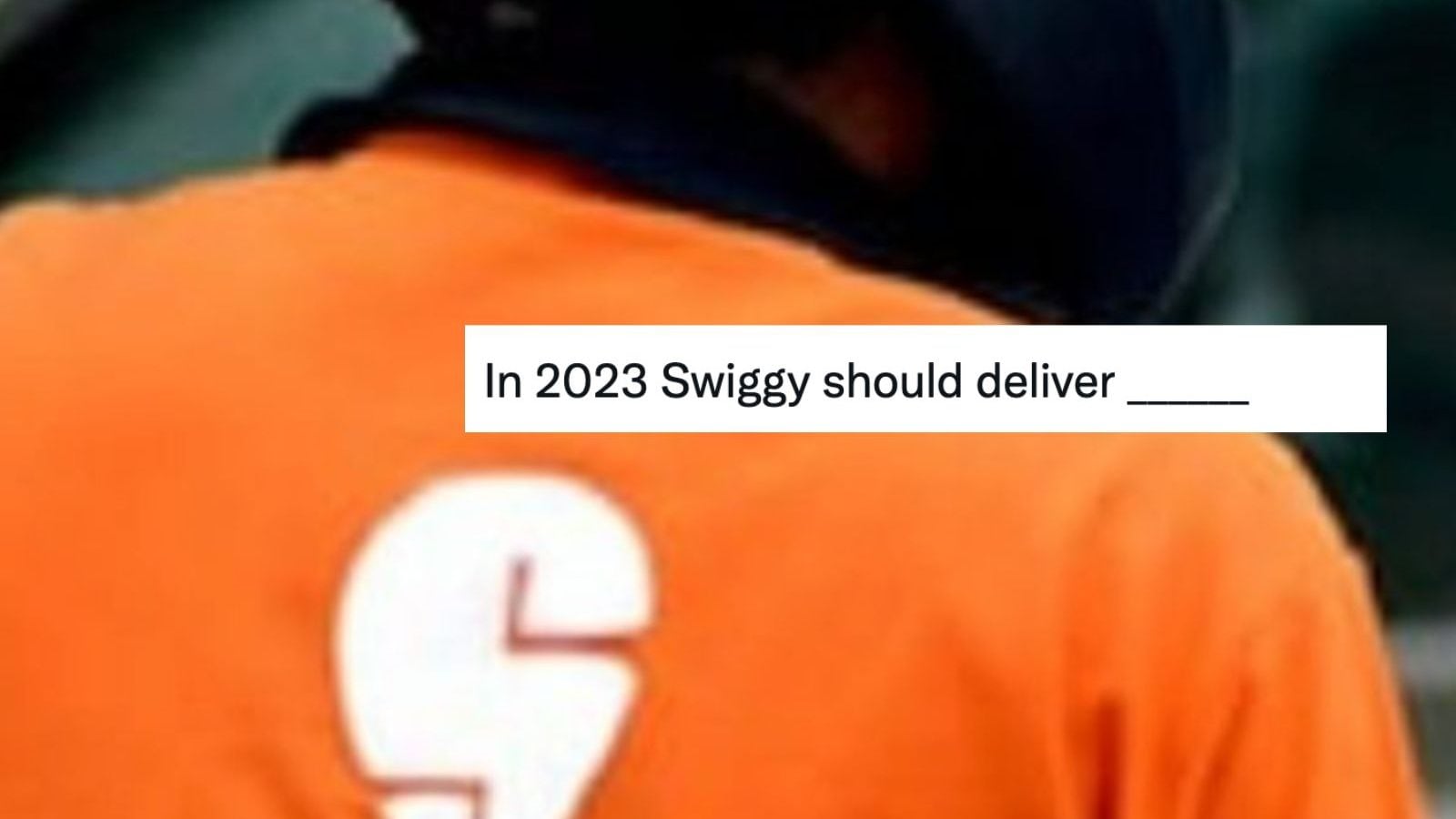 We Should Deliver..?: Internet Replies With the Most Bizarre Answers After Swiggys Question