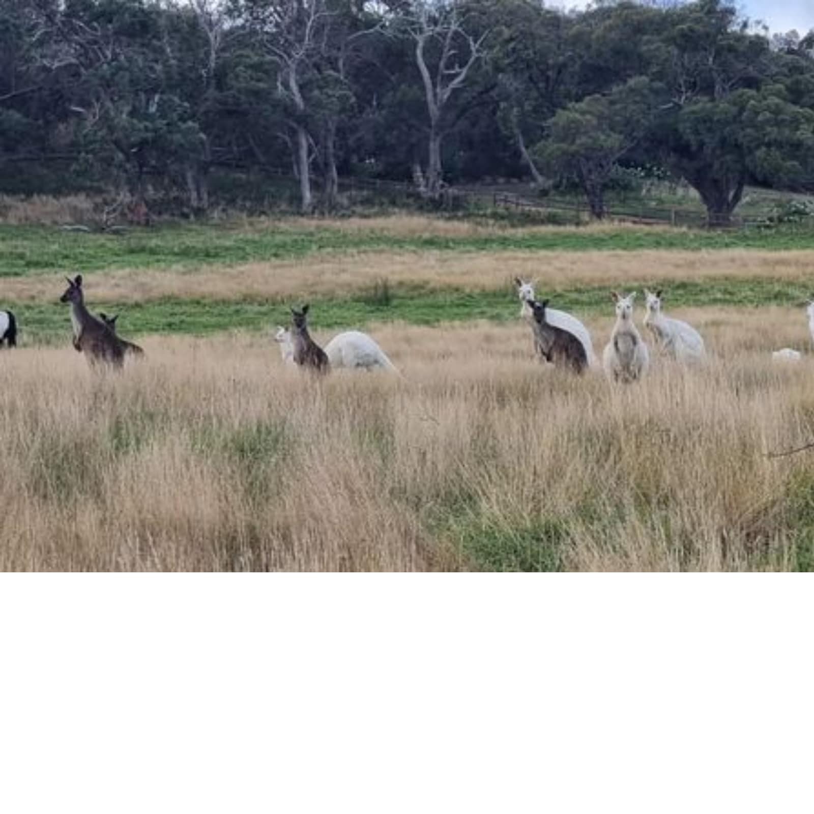 From Aries to Leo, Know Zodiac Signs to Benefit From Jupiter’s Transit