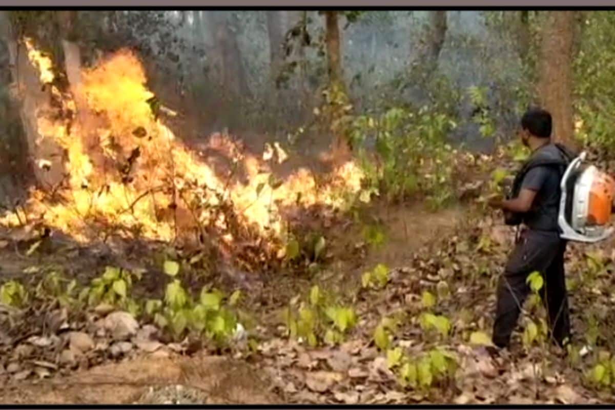 Oppn Corners Odisha Govt in Assembly Over Forest Fire Issue; Union Min Urges Centre to Launch Urgent Measures