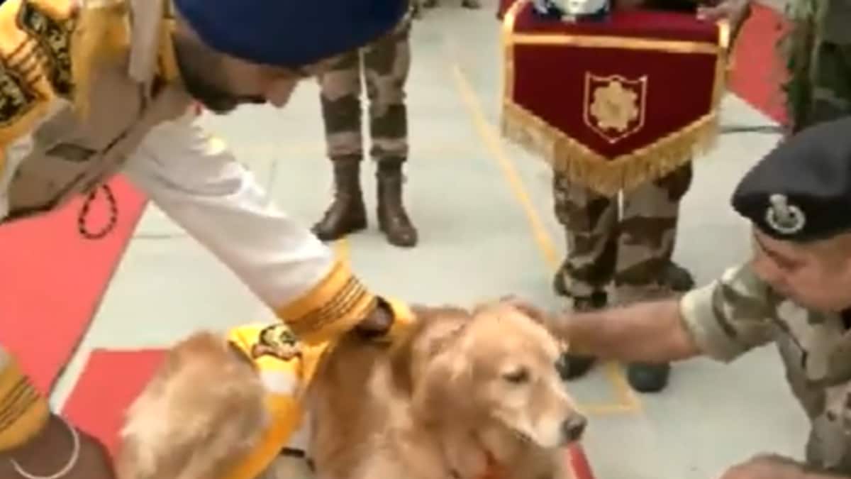 Watch: CISF Bids Adieu To Heroic Sniffer Dogs In A Grand Retirement Celebration