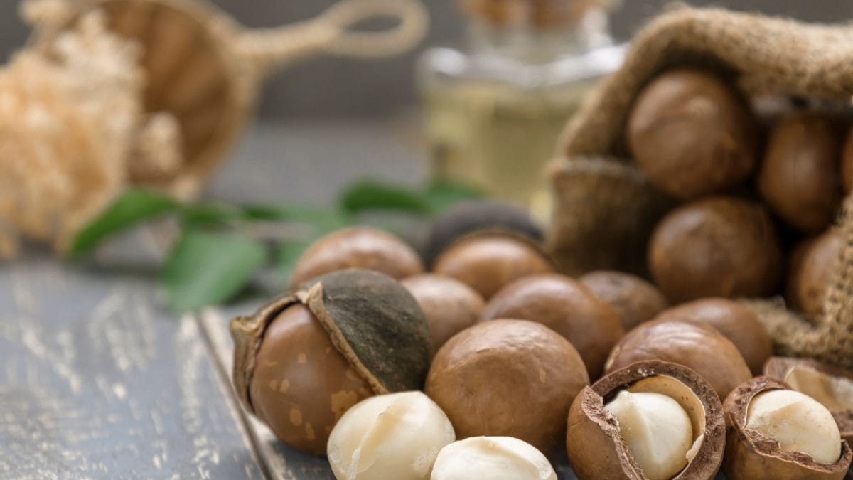 3 Delicious Recipes Made With The Sweetness of Macadamia Nuts by Chef Sabyasachi Gorai ? News18