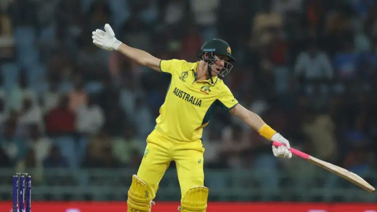 We Will Get Clarity Or Will Seek Clarity Says Marnus Labuschagne On Marcus Stoinis Disputed Dismissal  News18