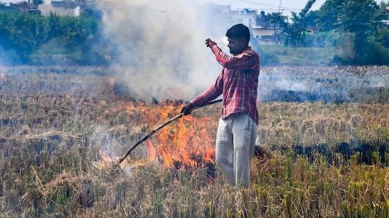 Blame game over stubble burning continues