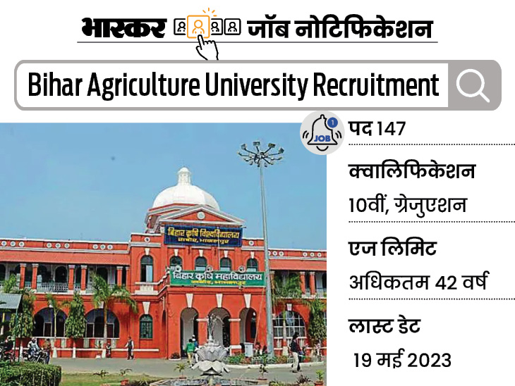 Government job: Recruitment for 147 posts in Bihar Agricultural University, candidates can apply till May 19